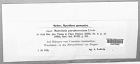 Image Associated With the Occurence